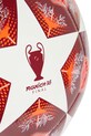 Accesorii adidas Performance minge UCL JH1284 rosu