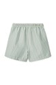 Παιδικό σορτς κολύμβησης Liewood Duke Stripe Board Shorts LW19940 τιρκουάζ SS25