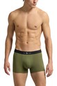 Боксери Polo Ralph Lauren 3-pack 714965507 зелений SS25