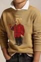 Детская хлопковая кофта Polo Ralph Lauren 322961412002 зелёный