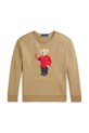 Дитяча бавовняна кофта Polo Ralph Lauren 323961412002 зелений SS25
