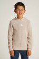Calvin Klein Jeans sweter bawełniany pozostałe beżowy IB0IB02413.116.PPYA