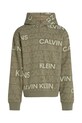 Детская хлопковая кофта Calvin Klein Jeans 0 IB0IB02381.128.176.PPYA зелёный SS25