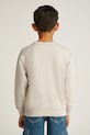 Детская кофта Calvin Klein Jeans бежевый IB0IB02411.PPYA