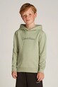 Detská bavlnená mikina Calvin Klein Jeans bavlna zelená IU0IU00679.116.PPYA