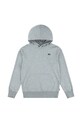 Παιδική μπλούζα Levi's MINI BATWING PULL OVER HOO με κουκούλα γκρί 8EK422