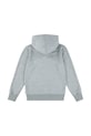Παιδική μπλούζα Levi's MINI BATWING PULL OVER HOO 8EK422 γκρί SS25