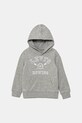 Levi's gyerek felső VARSITY ROWING HOODIE melanzs szürke 8EM573