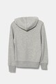 Levi's bluză copii VARSITY ROWING HOODIE 9EM573 gri SS25