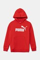 Puma bluza copii ESS No. 1 Logo Hoodie TR print rosu 684909