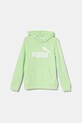 Puma bluza copii ESS No. 1 Logo Hoodie TR print verde 684909