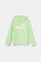 Dětská mikina Puma ESS No. 1 Logo Hoodie TR s kapucí zelená 684909
