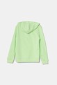 Dětská mikina Puma ESS No. 1 Logo Hoodie TR 684909 zelená SS25