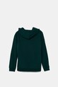 Puma bluza dziecięca ESS No. 1 Logo Hoodie TR 684909 zielony SS25