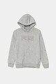 Παιδική βαμβακερή μπλούζα Puma ESS LOGO LAB Execution Hoodie TR στάμπα γκρί 685789