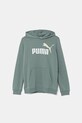 Puma bluza dziecięca ESS 2 COLOR No.1 Logo Hoodie TR z kapturem zielony 685823