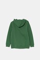 Vans hanorac de bumbac pentru copii SALTON LOOSE VN000P5TBR11 verde SS25