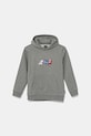 Vans bluza dziecięca Fresh Pullover z kapturem szary VN000MHF02F1