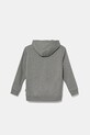 Παιδική μπλούζα Vans Fresh Pullover VN000MHF02F1 γκρί SS25