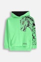 Детская кофта Coccodrillo с капюшоном зелёный WC5132301DBJ