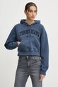 Bavlnená mikina Tommy Jeans bavlna modrá DW0DW19413