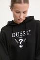 Кофта Guess ROBERTA чёрный V5RQ11.KC3D2