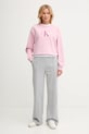 Calvin Klein Jeans bluza LV047B234G różowy AW25