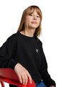 Хлопковая кофта adidas Originals JC5668