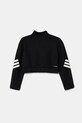 Fete adidas bluza copii JJ4973 negru