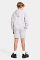 Didriksons bluza dziecięca VEN KIDS HOODIE szary 505730
