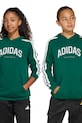 Детская кофта adidas с капюшоном зелёный JM7358