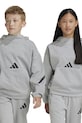 Otroški pulover adidas S kapuco siva IN6063