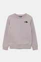 The North Face bluza dziecięca TEEN SIMPLE DOME CREW pozostałe szary NF0A8AXY1OA1
