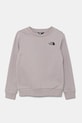 The North Face bluza copii TEEN SIMPLE DOME CREW print gri NF0A8AXY1OA1