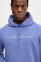Oblečení Mikina Tommy Jeans DM0DM20746 modrá
