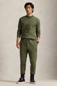 Одяг Кофта Polo Ralph Lauren 710957586 зелений