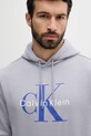 Oblečení Mikina Calvin Klein Jeans LV040BM800 fialová