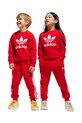 Спортивный костюм adidas Originals хлопок красный JC6615