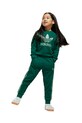 Спортивний костюм adidas Originals JC6611