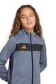 Detská tepláková súprava adidas Performance JD0627
