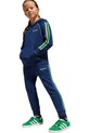 Дитячий спортивний костюм adidas Originals JC5880