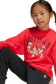 Detská tepláková súprava adidas x Disney JN6101