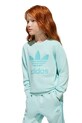 Dječja trenirka adidas Originals JC6609