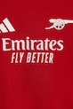 adidas compleu copii AFC IS8146