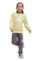 Дитячий спортивний костюм adidas 2-pack JE1384