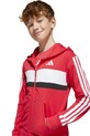 adidas melegítő szett JC6662