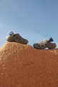 Liewood papuci copii Milas Sandals LW19659