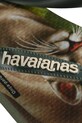 В'єтнамки Havaianas IPE чорний 4000396.4896