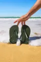 Шльопанці Havaianas BRASIL LOGO 4110850.5983