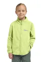 Jack Wolfskin bluza dziecięca TAUNUS JACKET K bez kaptura zielony 1609482.164.176